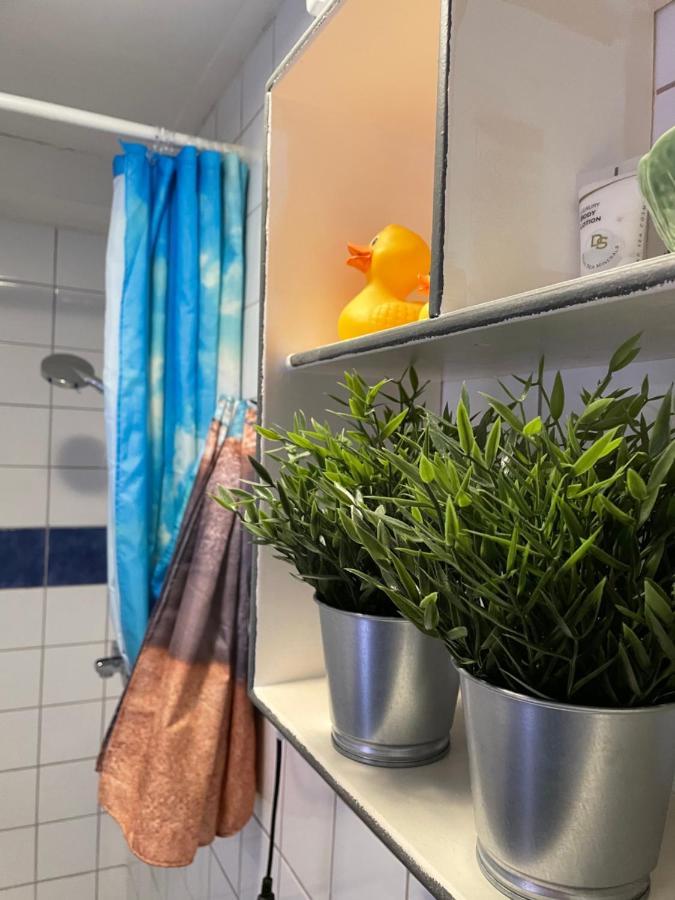 Zomerdijk-Inn Noord Wanneperveen Экстерьер фото